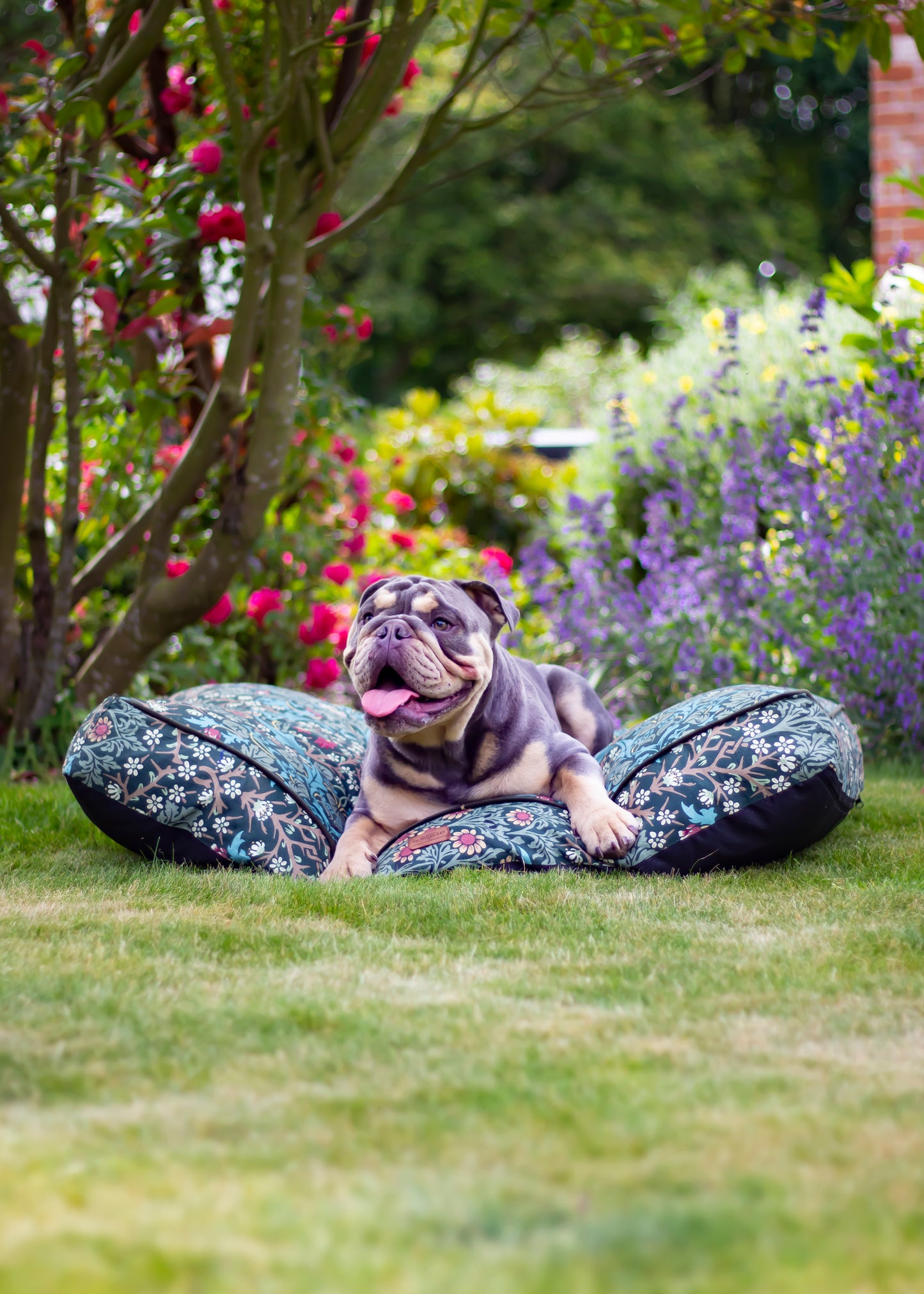 BLACKTHORN PET MATTRESS